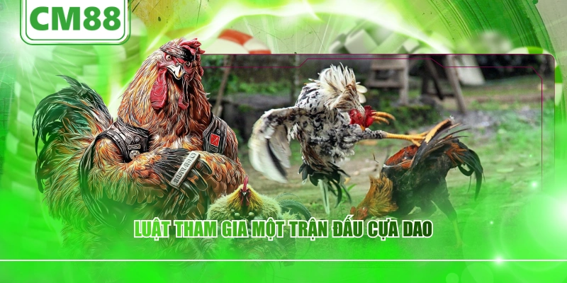 Luật tham gia một trận đấu cựa dao